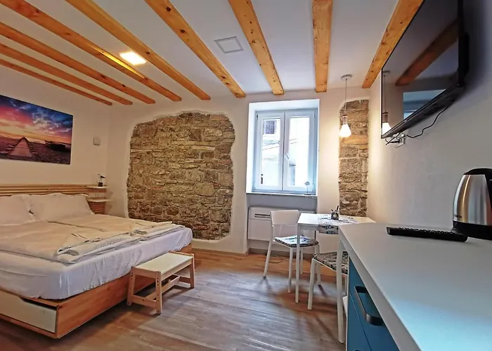 Apartment Ribiska Hisa - Old Fisherman's House *